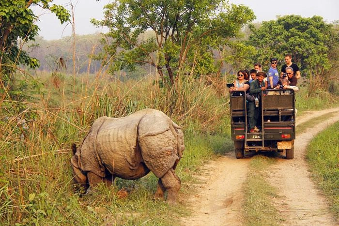 Chitwan National Park