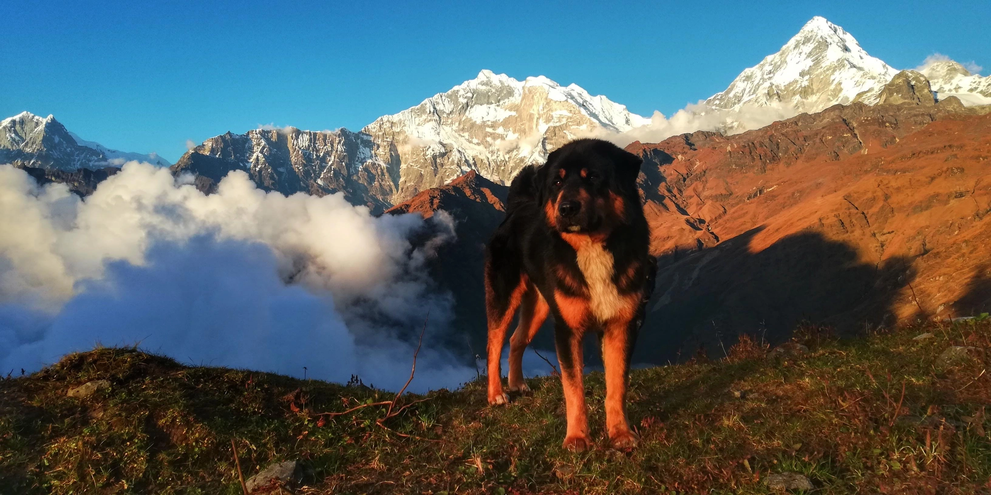 Khopra Ridge Trek